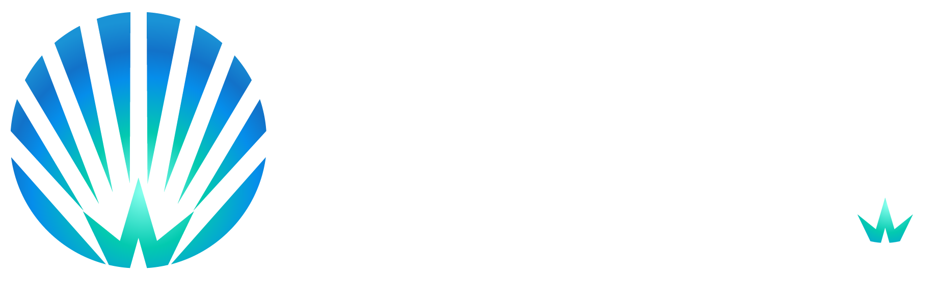鷗維數(shù)據(jù)云查詢平臺
